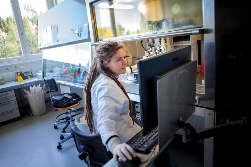 A researcher using a computer to program a bioprinter in a fume hood at a university laboratory in Switzerland