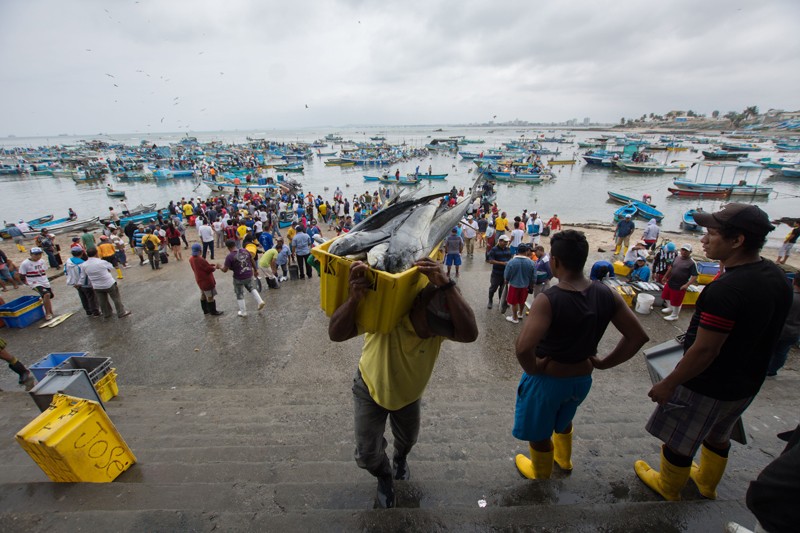 A man carries a crate of fish on his shoulder whilst walking up some steps, a harbour full of boats behind him