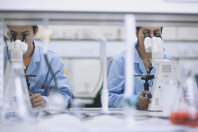 Two researchers in lab coats working in a laboratory each looking through a microscope.
