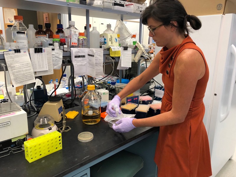Kathleen Beeson working in the lab