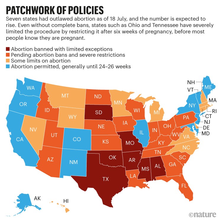 Patchwork of policies: Map of the United States showing the seven states which have outlawed abortion as of 18 July.
