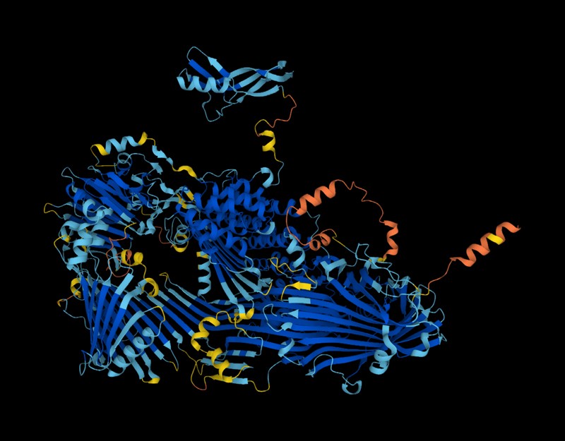 AlphaFolds vorhergesagte Struktur des Vitellogenin-Proteins auf schwarzem Hintergrund