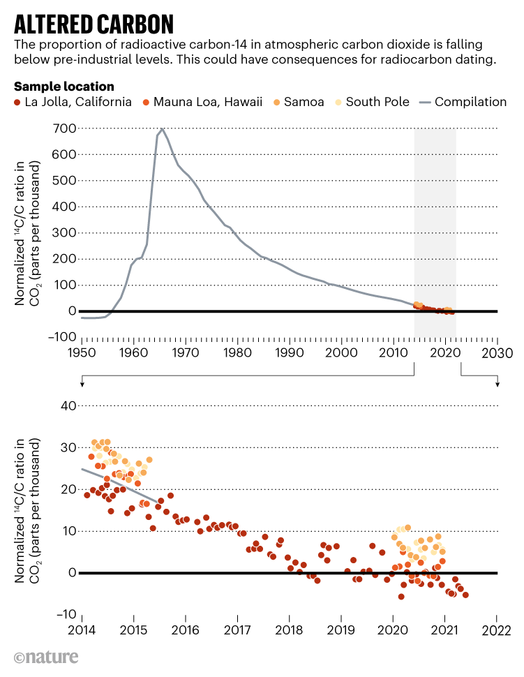 Altered carbon: Line chart showing the proportion of radioactive carbon-14 in atmospheric carbon dioxide since 1950.