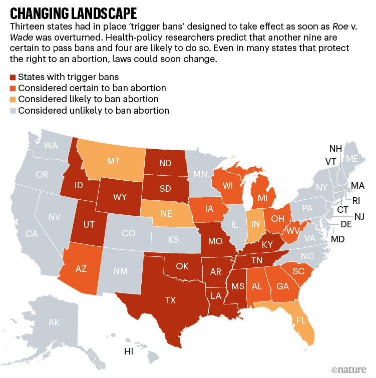 Changing landscape. US map showing which states are likely to ban abortions.