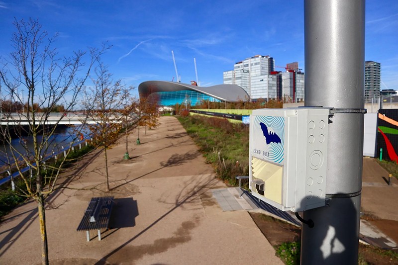 A bat monitor is positioned above a path in the Queen Elizabeth Olympic Park, London