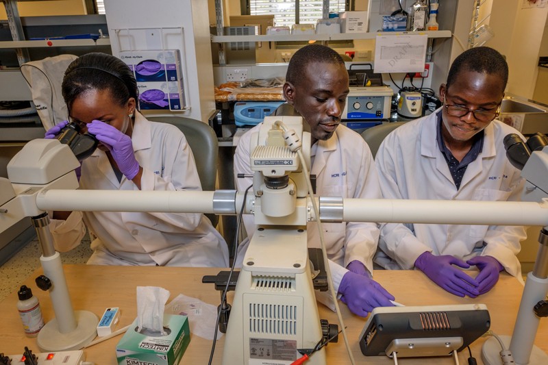Three researchers working at a bench in a histopathology lab at the UCI-Fred Hutch Cancer Centre in Kampala, Uganda