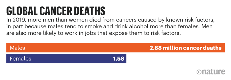Global cancer deaths: Bar chart showing the number of females and males to have died from cancer in 2019.