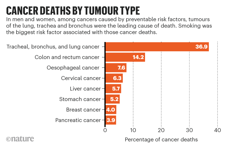Cancer deaths by tumour type: Bar chart showing the top eight types of cancer by cause of death.