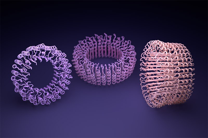 A computer render illustration of hallucinated ring proteins.
