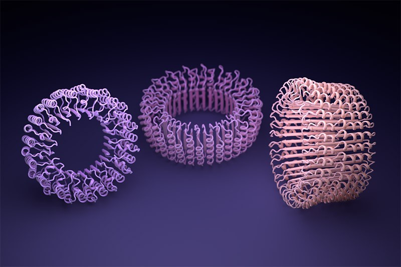 Nouvelle ère de la biologie … numérique | Jump-To-Science