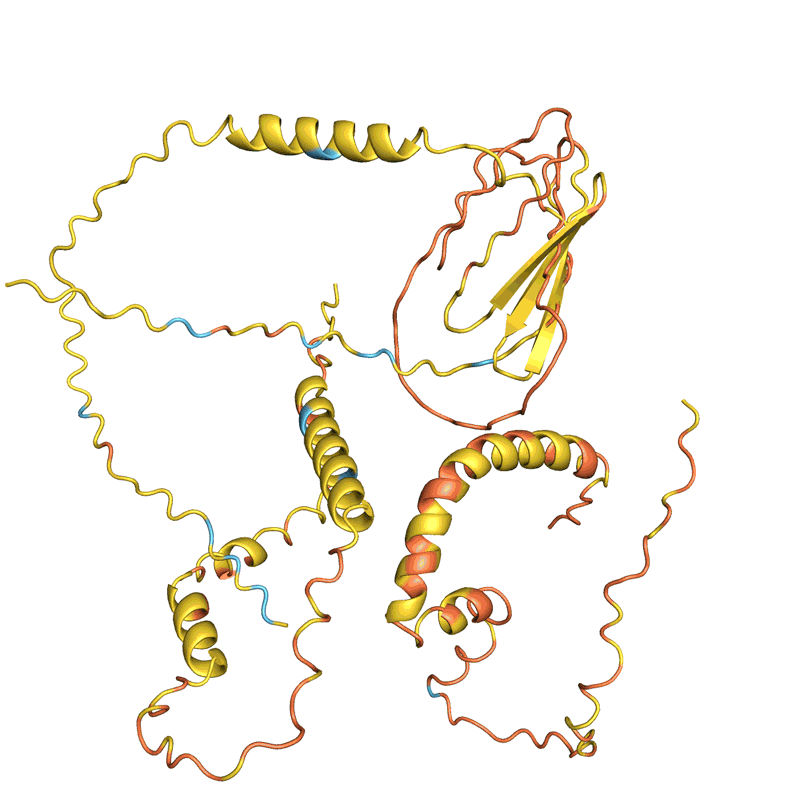 Alphafold AI sistemi tarafından tahmin edilen dört protein yapısının animasyonu