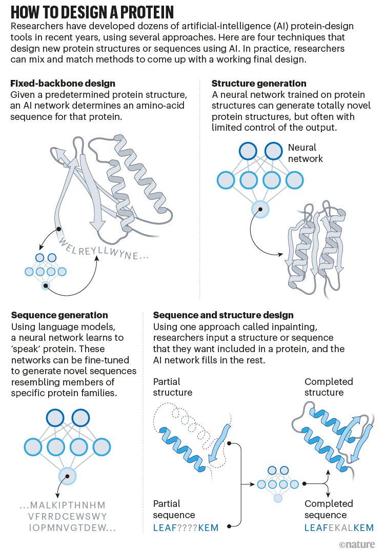 Bir protein nasıl tasarlanır: AI kullanarak yeni protein yapıları veya dizileri tasarlamak için dört tekniği gösteren infografik.