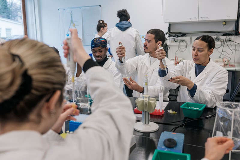 A group of medical students working together on a hands-on experiment in a laboratory