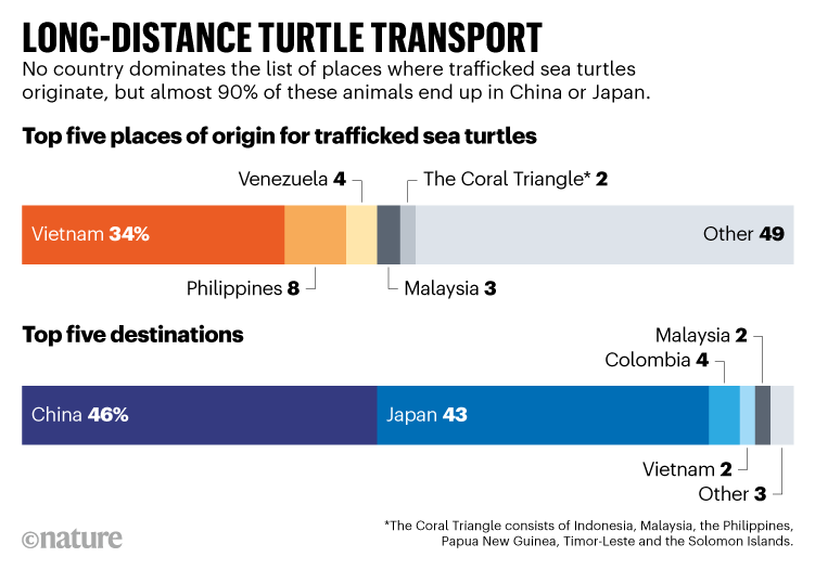 LONG-DISTANCE TURTLE TRANSPORT. Graphic showing top 5 places of origin for trafficked sea turtles and top 5 destinations.