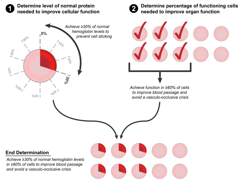 Realizing the promise of gene therapy through collaboration and