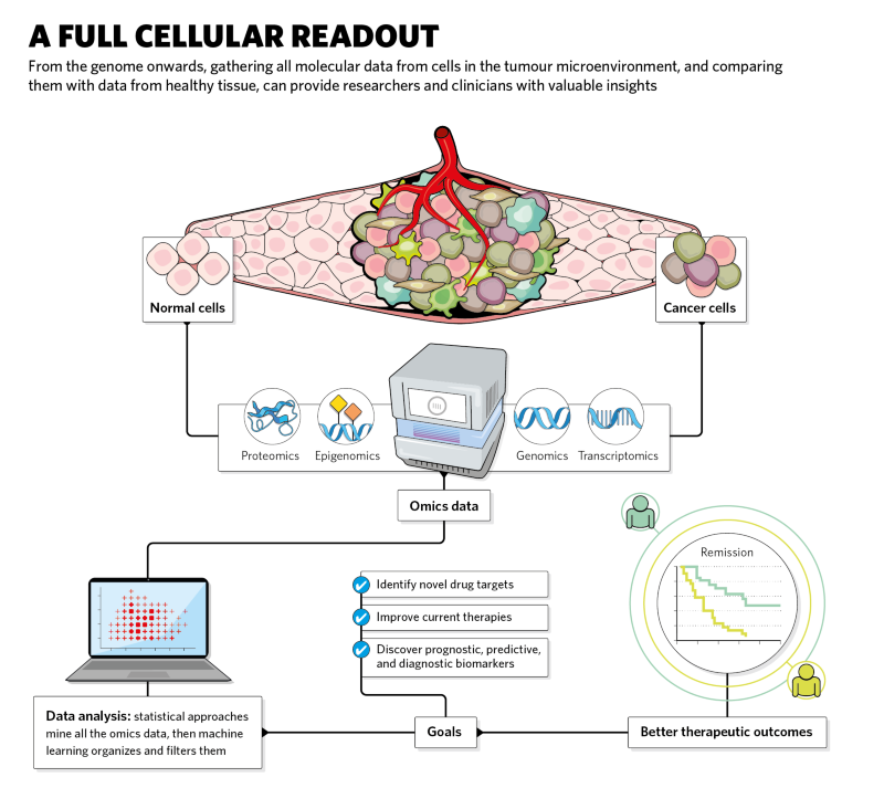 Big Picture Oncology Through Multi-omics