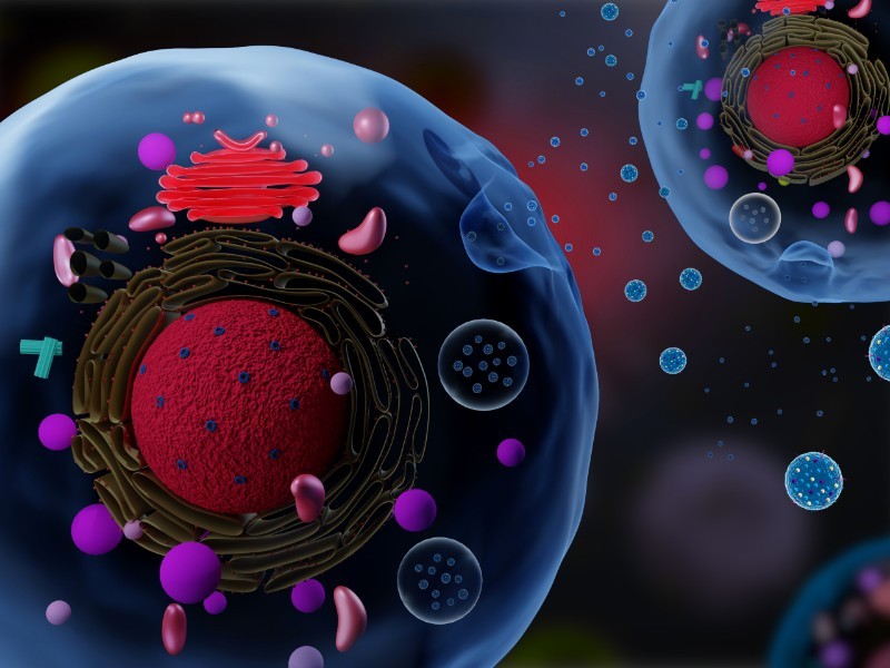 Illustration of cells secreting exosomes