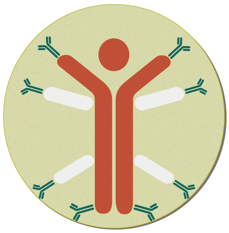 the first monoclonal antibody therapy