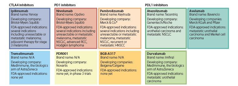 Checkpoint inhibitors march on