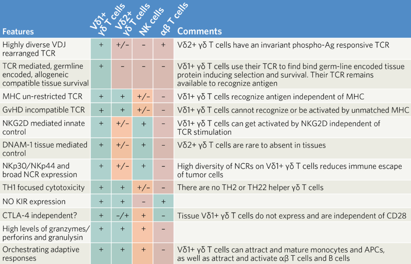 Unlocking the power of Vδ1+ γδ T lymphocytes to transform cancer cell ...