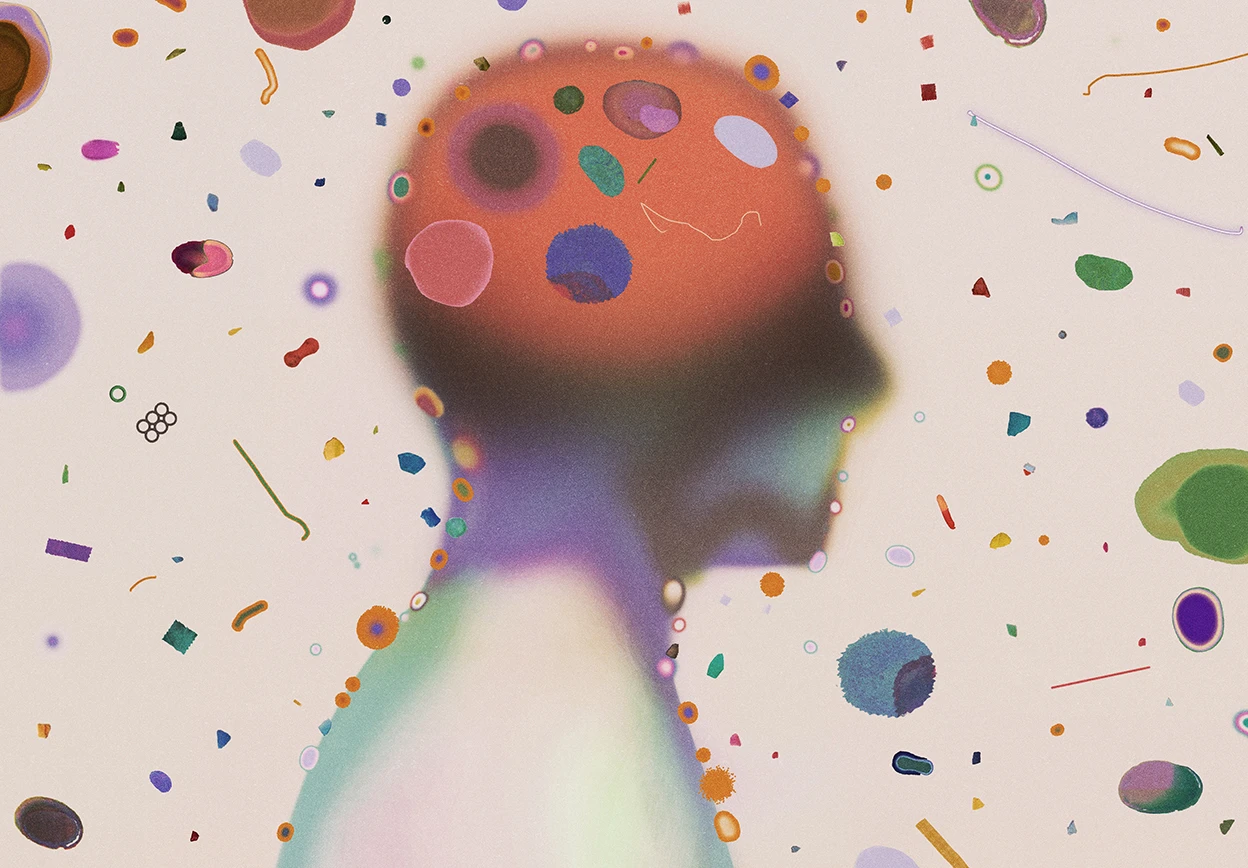Your brain is full of microplastics: are they harming you?