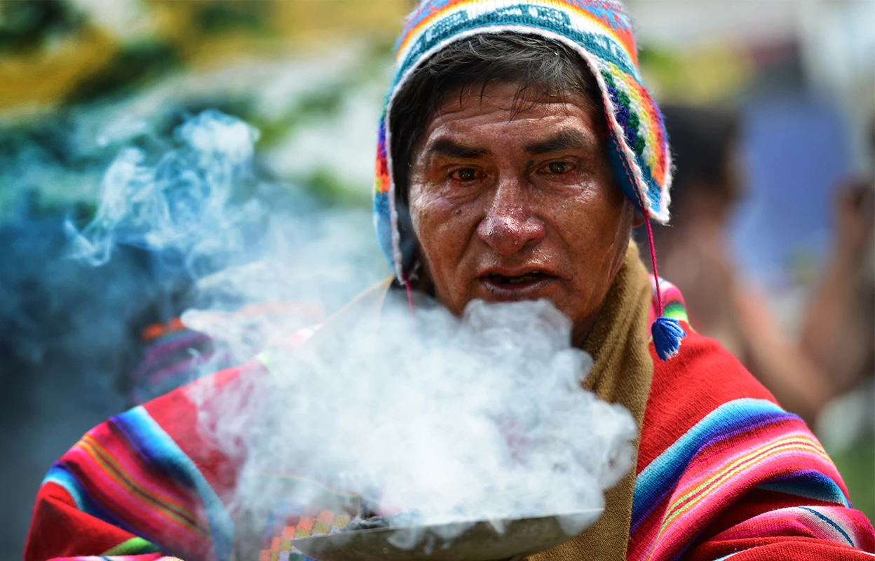 How the world’s largest language family spread — and why others go extinct