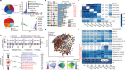 Multi-omics of the gut microbial ecosystem in inflammatory bowel diseases