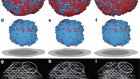 Observing crystal nucleation in four dimensions using atomic electron tomography