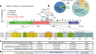 FOXA1 mutations alter pioneering activity, differentiation and prostate cancer phenotypes