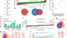 Genome architecture and stability in the Saccharomyces cerevisiae knockout collection