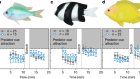 Ocean acidification does not impair the behaviour of coral reef fishes