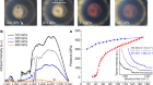 Synchrotron infrared spectroscopic evidence of the probable transition to metal hydrogen
