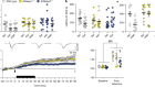 Antidepressant actions of ketamine engage cell-specific translation via eIF4E