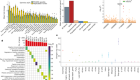 Genomic basis for RNA alterations in cancer