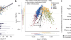 Statin therapy is associated with lower prevalence of gut microbiota dysbiosis