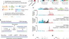 Somatic mutation landscapes at single-molecule resolution