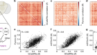 Coupling of activity, metabolism and behaviour across the Drosophila brain