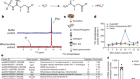 Mitochondrial TNAP controls thermogenesis by hydrolysis of phosphocreatine