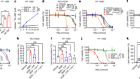 DHODH-mediated ferroptosis defence is a targetable vulnerability in cancer