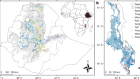 The nutritional quality of cereals varies geospatially in Ethiopia and Malawi