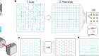 Quantum phases of matter on a 256-atom programmable quantum simulator