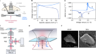 Operando optical tracking of single-particle ion dynamics in batteries