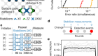 Exponential suppression of bit or phase errors with cyclic error correction