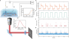 Direct imaging of single-molecule electrochemical reactions in solution