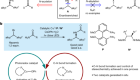 Photoinduced copper-catalysed asymmetric amidation via ligand cooperativity