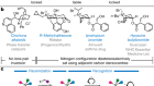 Enantioselective synthesis of ammonium cations