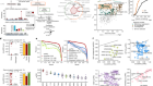 In silico saturation mutagenesis of cancer genes