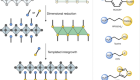 Directed assembly of layered perovskite heterostructures as single crystals