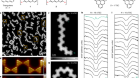 Observation of fractional edge excitations in nanographene spin chains
