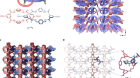 An elastic metal–organic crystal with a densely catenated backbone